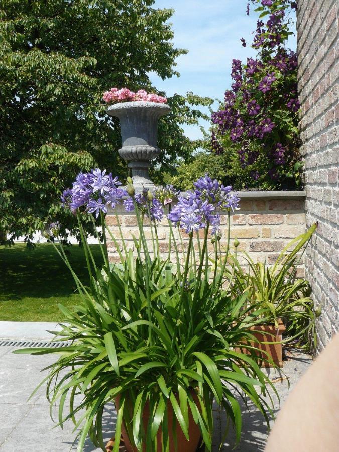 B&B Casabelle Boekhoute Екстер'єр фото